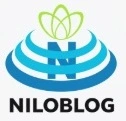 پشتیبان ولایت